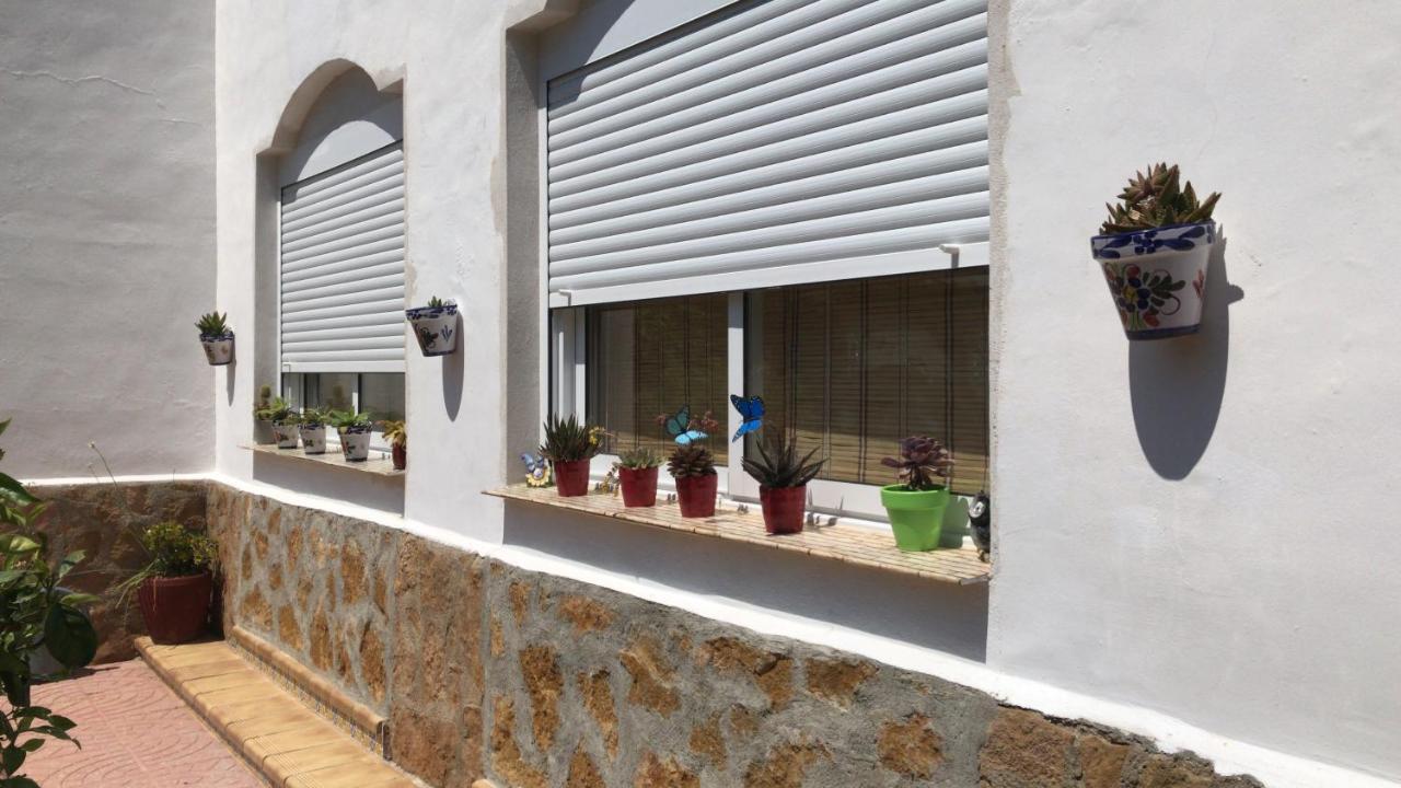 Villa Irene Gandía Dış mekan fotoğraf