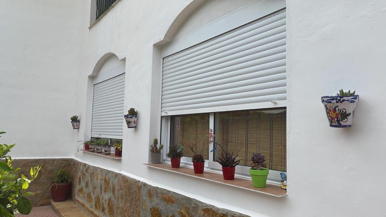 Villa Irene Gandía Dış mekan fotoğraf